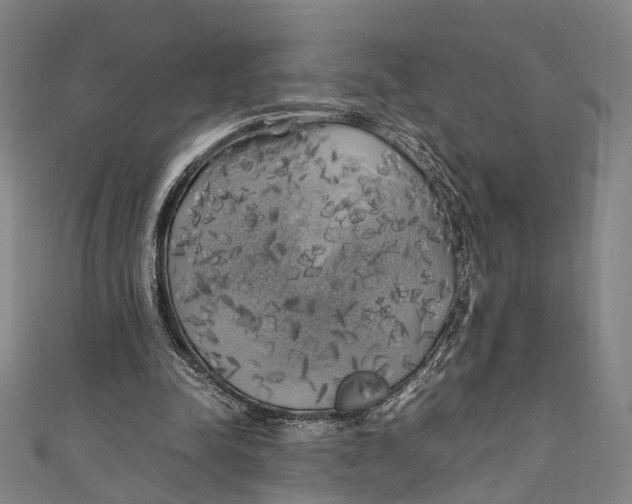 X0000111210342200907221155