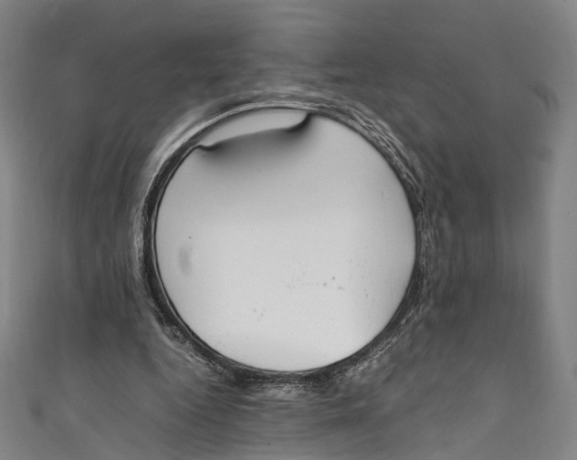 X0000111210344200907221155