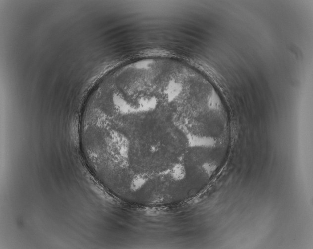 X0000111210345200907221155