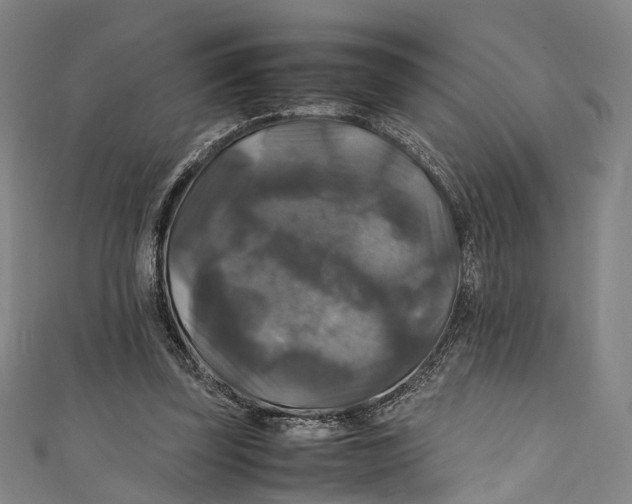 X0000111210347200907221155