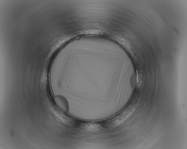 X0000111210348200907221155