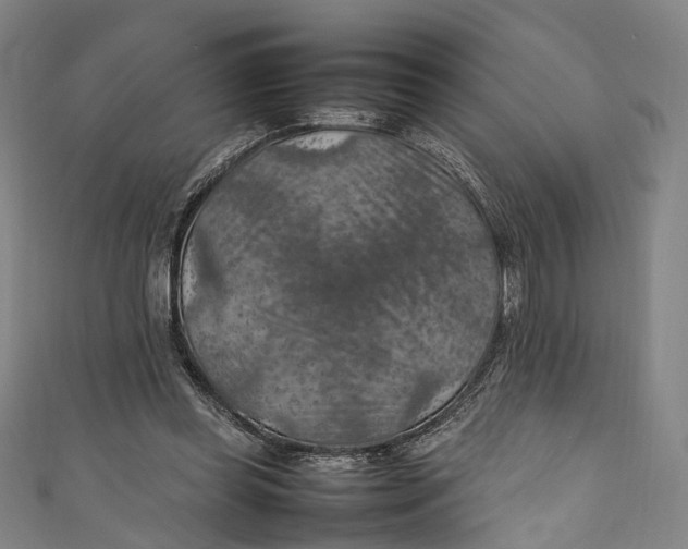 X0000111210349200907221155