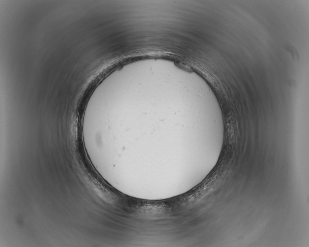 X0000111210350200907221155