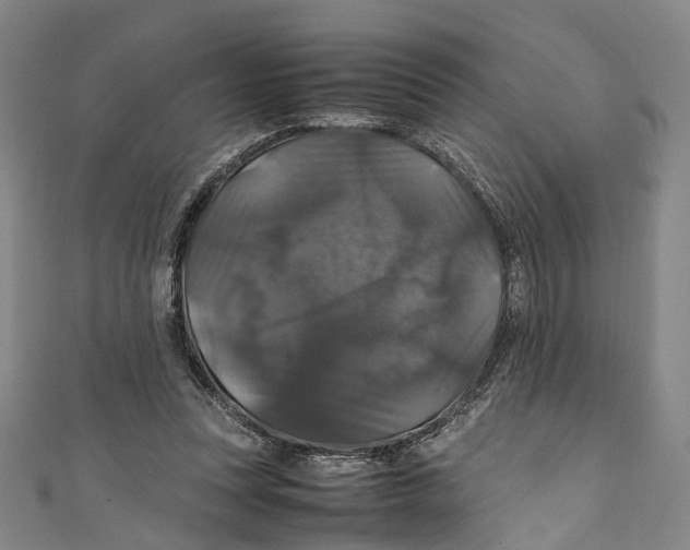 X0000111210351200907221155