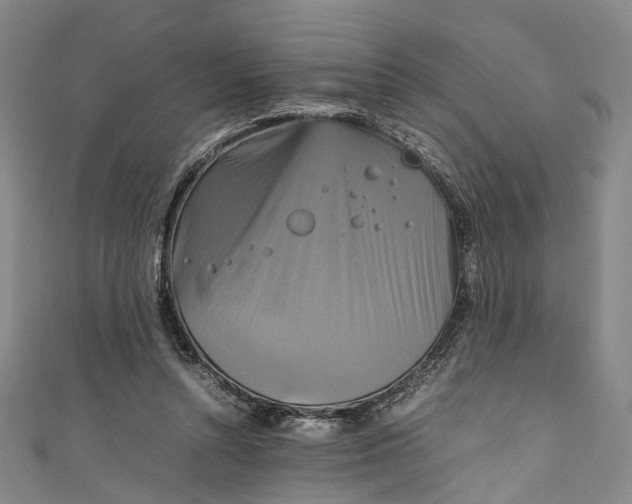 X0000111210352200907221155