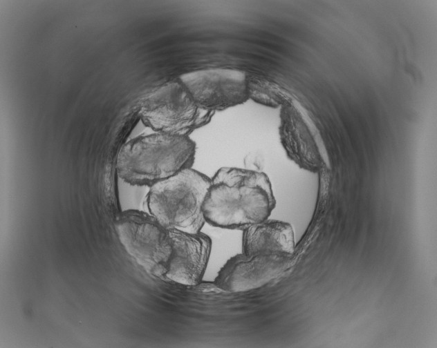 X0000111210353200907221155