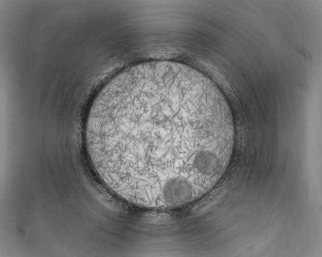 X0000111210354200907221155