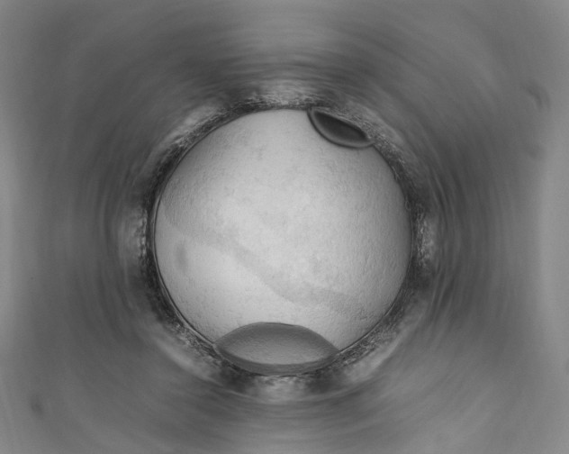 X0000111210356200907221155