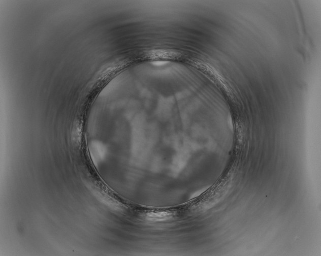 X0000111210357200907221155