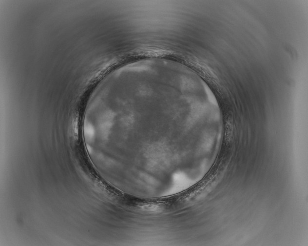 X0000111210358200907221156