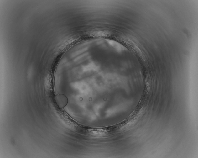 X0000111210359200907221156