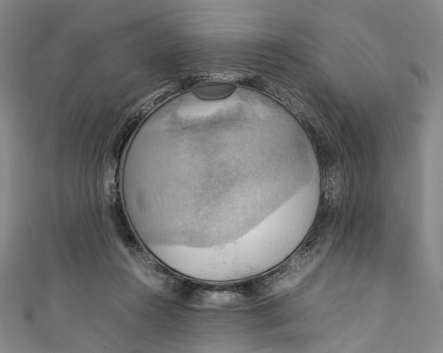 X0000111210360200907221156