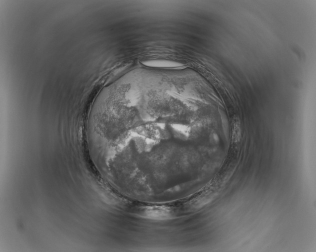 X0000111210363200907221156