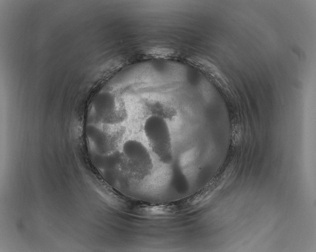 X0000111210365200907221156