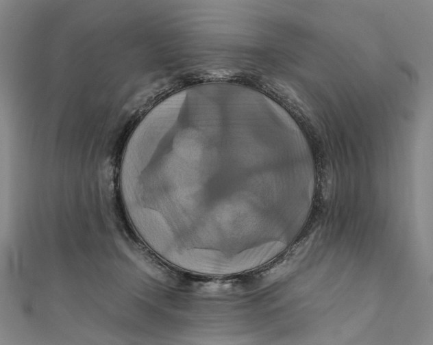 X0000111210366200907221156