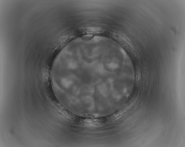 X0000111210367200907221156