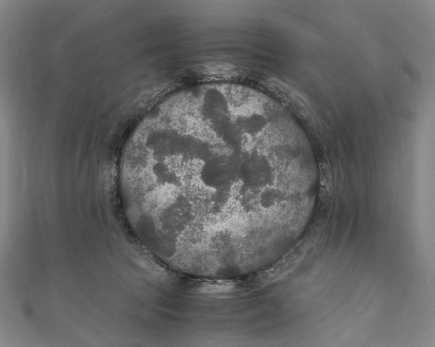 X0000111210369200907221156