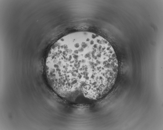 X0000111210370200907221156