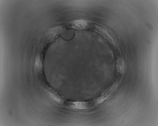 X0000111210371200907221156