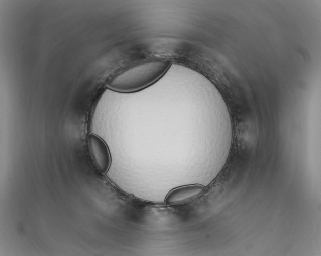 X0000111210372200907221156