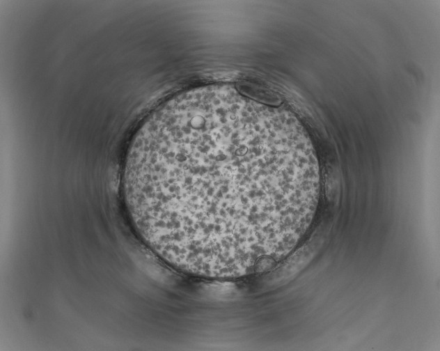 X0000111210374200907221156