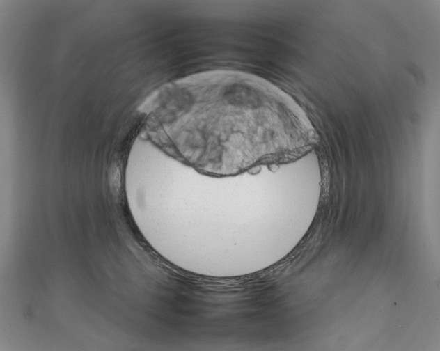 X0000111210375200907221156