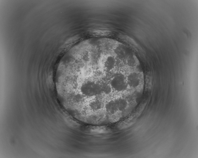 X0000111210377200907221156