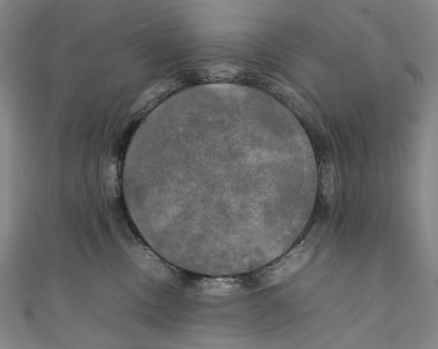 X0000111210378200907221156