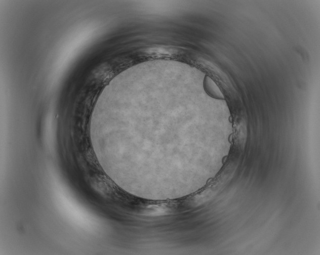 X0000111210381200907221156