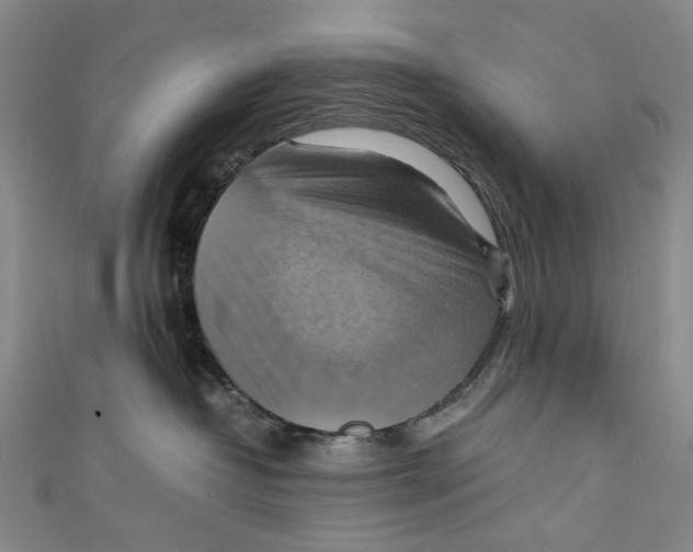 X0000111210382200907221156