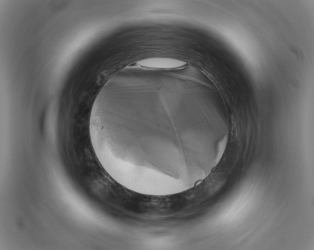 X0000111210383200907221156