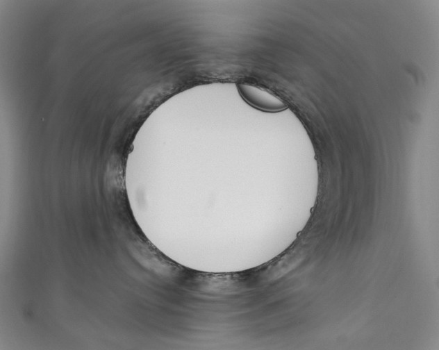 X0000111210384200907221156