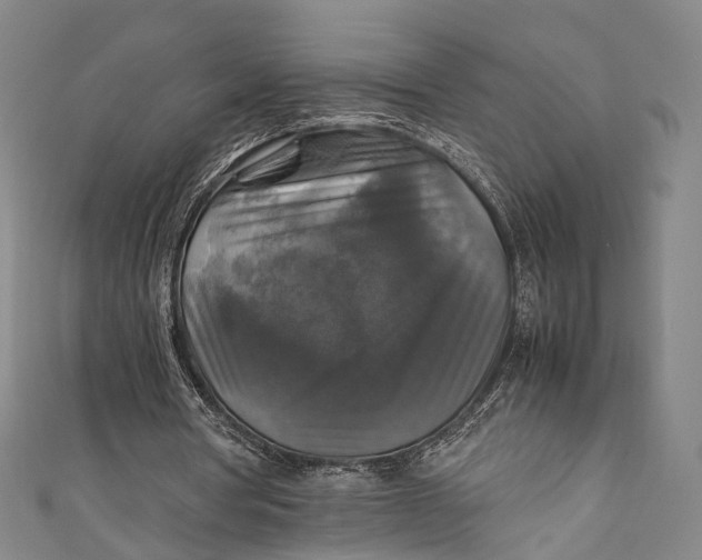 X0000111210386200907221155