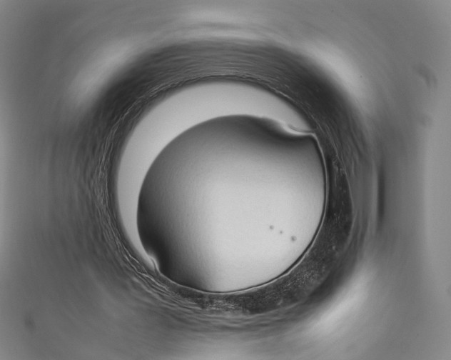 X0000111210387200907221155