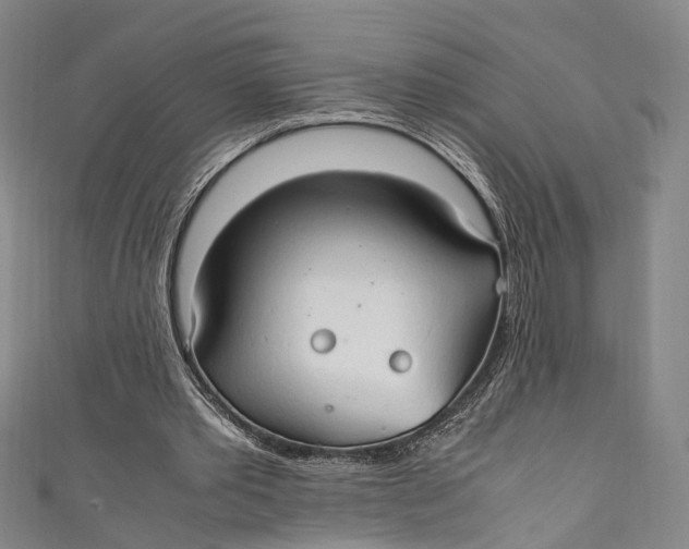 X0000111210389200907221155