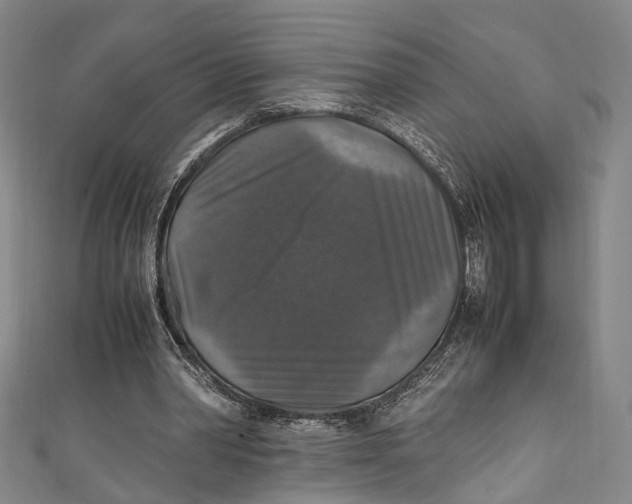 X0000111210390200907221155