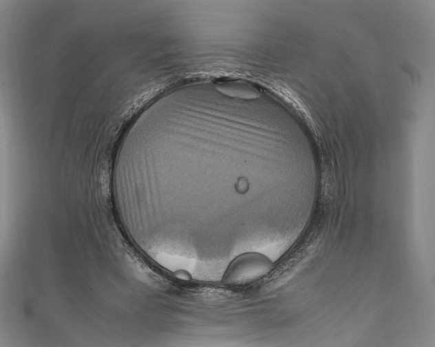 X0000111210393200907221155