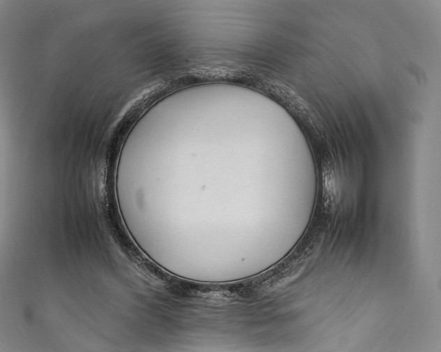 X0000111210396200907221155