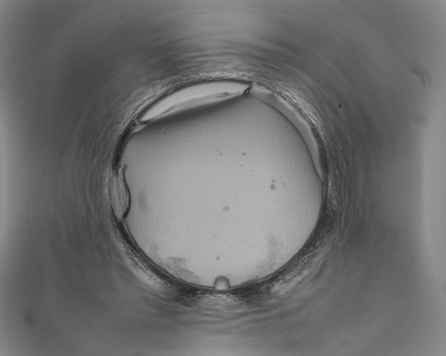 X0000111210397200907221155