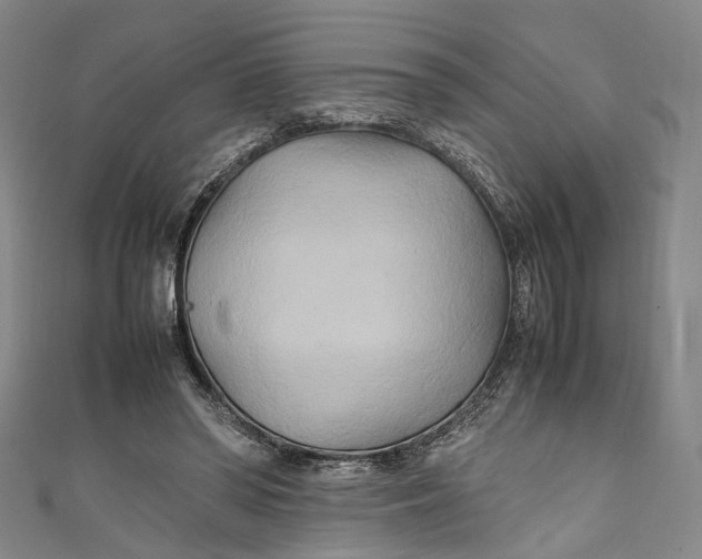 X0000111210398200907221155