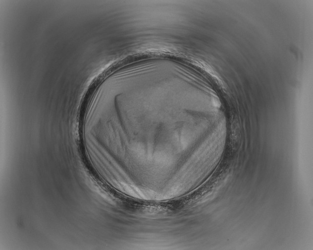 X0000111210399200907221155