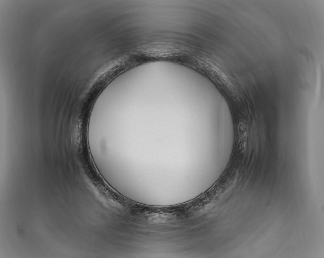 X0000111210400200907221155