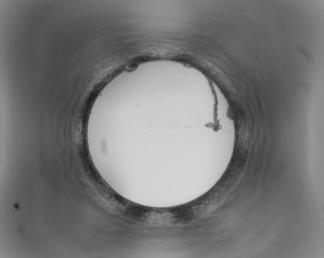 X0000111210403200907221155