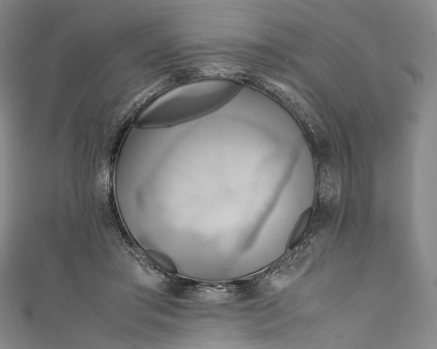 X0000111210405200907221155