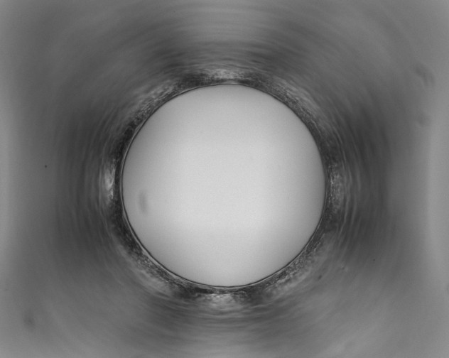 X0000111210406200907221155