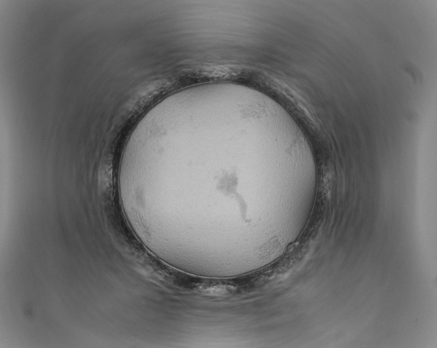 X0000111210407200907221155