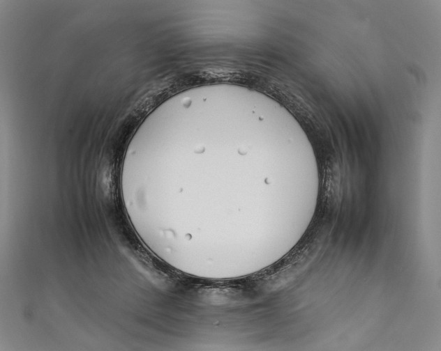 X0000111210408200907221155