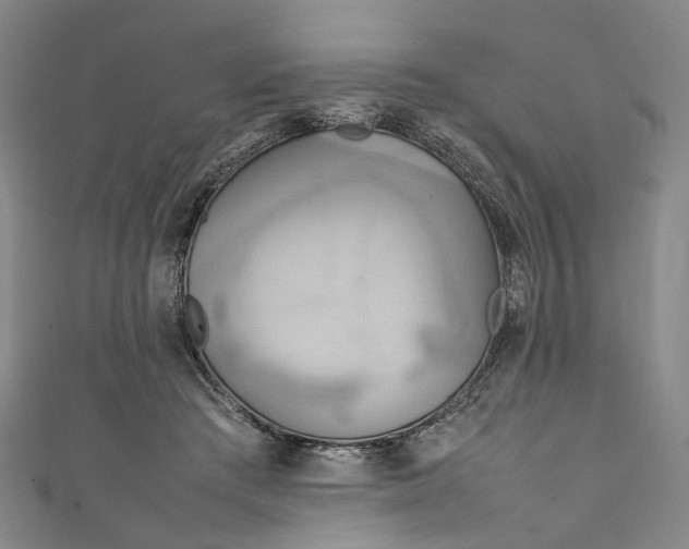 X0000111210409200907221155