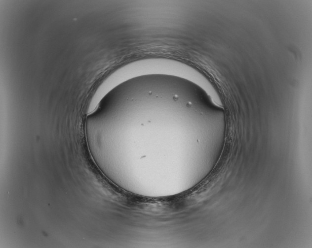 X0000111210411200907221155