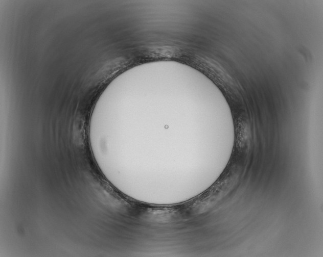 X0000111210414200907221155